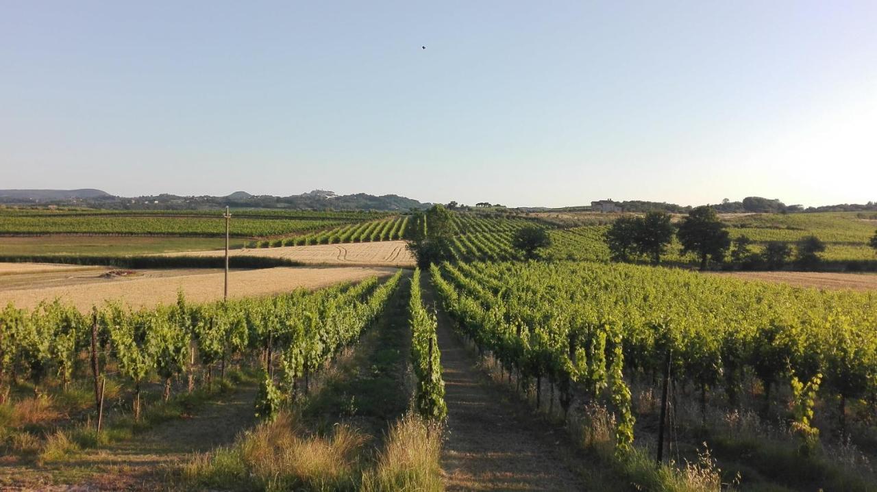 Agriturismo La Chiesina Abbadia di Montepulciano Exterior foto